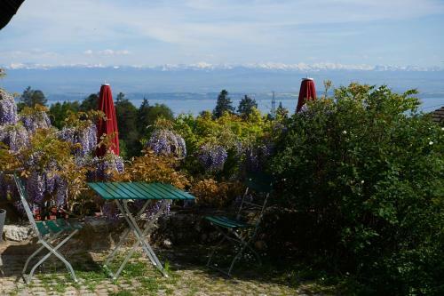 Ecohotel L?aubier