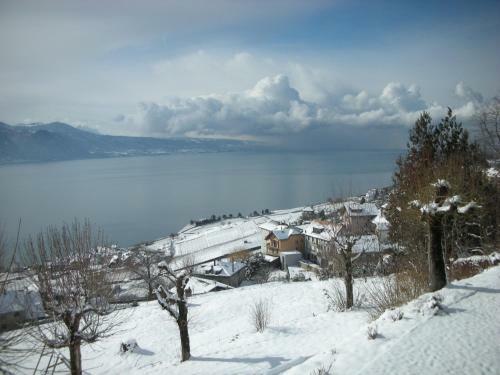 Hotel Prealpina