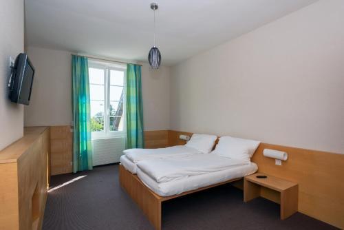 Hotel H�tel Du Cheval-blanc