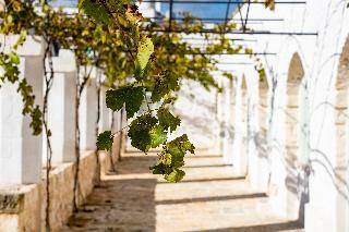 Agroturismo Masseria Ayroldi
