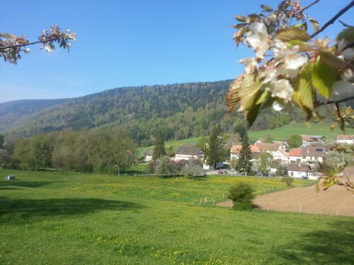 Hotel H�tel Du Chasseur