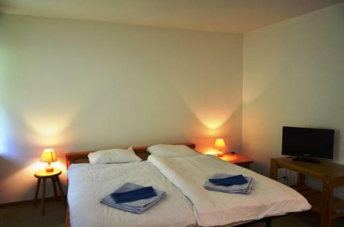 Apartamentos R�sidence Les M�l�zes