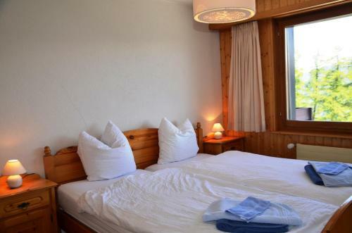 Apartamentos R�sidence Les M�l�zes