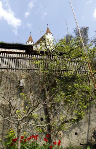Hotel Restaurant Schwert Thun