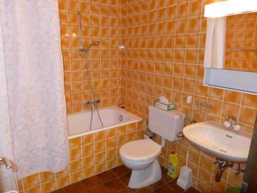 Apartment Clair-azur Crans Montana