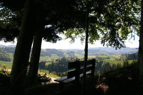 Posada Gasthof Krone