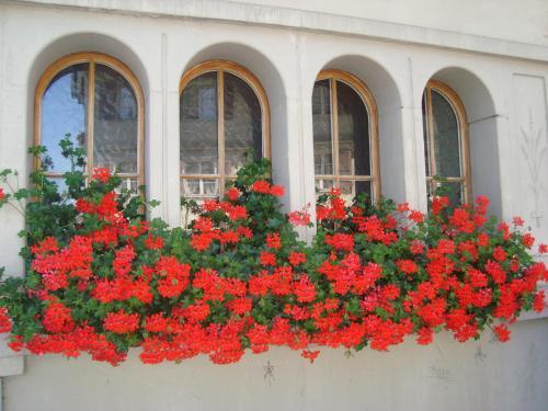 Posada Gasthof Krone