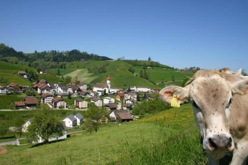 Posada Gasthof Krone