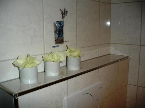 Hostal Villa Am Park - Guesthouse