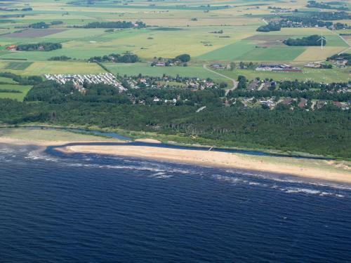 Gullbrannag�rden