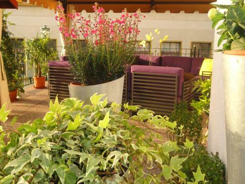 Hostal Gasthof Sonne