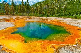 Hotel Old Faithful Snow Lodge & Cabins