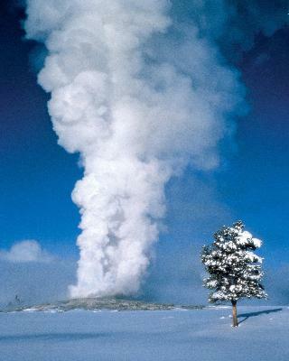 Hotel Old Faithful Snow Lodge & Cabins