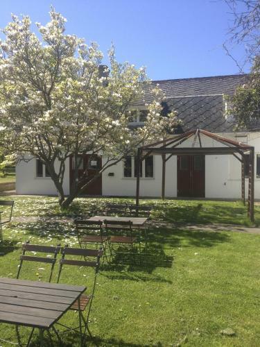 Gamla Bryggeriet Bed & Breakfast