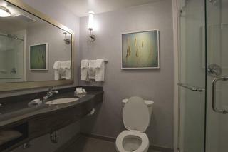 Hotel Hilton Garden Inn Bolingbrook I-55