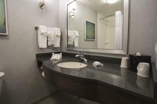 Hotel Hilton Garden Inn Bolingbrook I-55