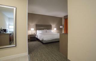 Hotel Hilton Garden Inn Bolingbrook I-55