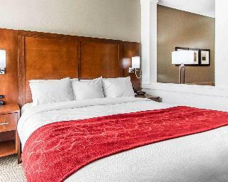 Hotel Comfort Suites West Omaha