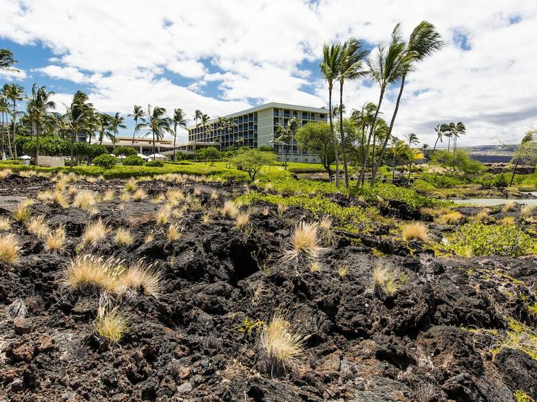 Hotel Marriott?s Waikoloa Ocean Club
