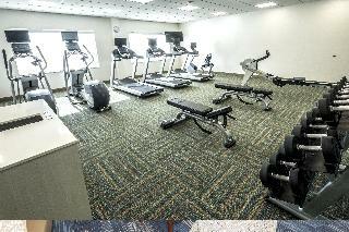 Hotel Holiday Inn Express Suites Commerce