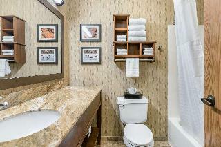 Hotel Comfort Inn Wings Stadium