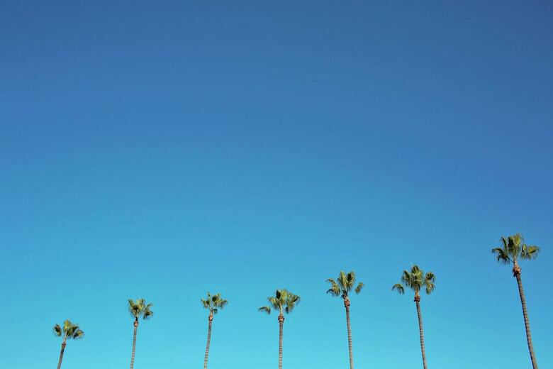 Hotel Hilton Anaheim