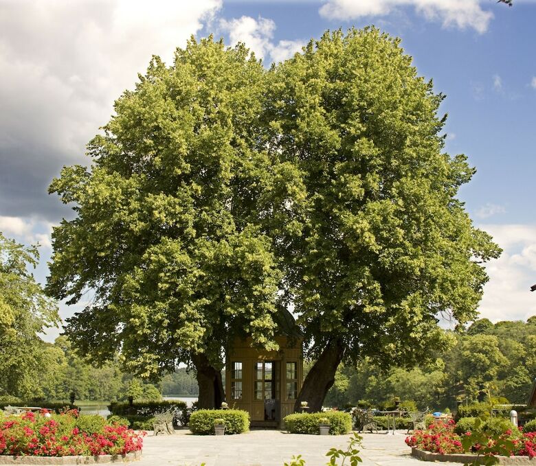 Stallm�stareg�rden Hotel & Restaurant