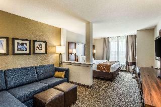 Hotel Comfort Suites Channelview