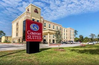 Hotel Comfort Suites Channelview