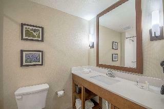 Hotel Comfort Suites Kyle