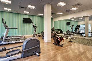 Hotel Holiday Inn Express & Suites Summerville