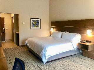 Hotel Holiday Inn Express Macon