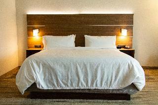 Hotel Holiday Inn Express Macon