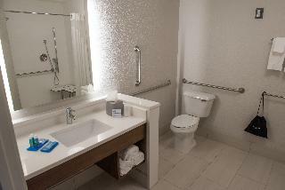 Hotel Holiday Inn Express & Suites Merrillville