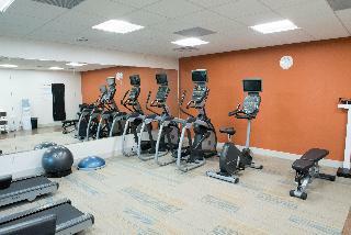 Hotel Holiday Inn Express & Suites Merrillville