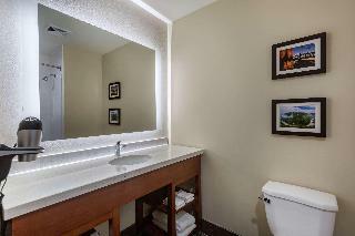Hotel Comfort Suites Bowling Green Area