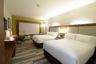 Hotel Holiday Inn Express & Suites Chicago Niles