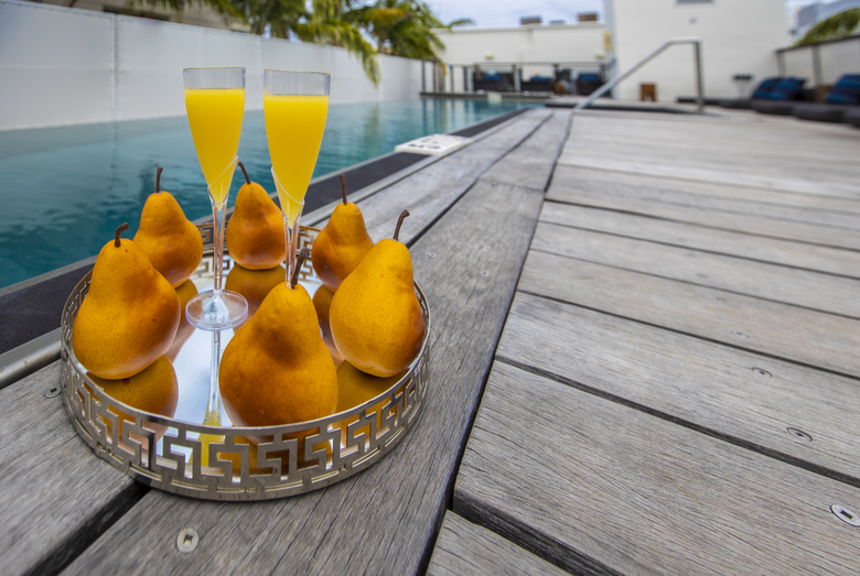 Hotel Posh Hostel South Beach
