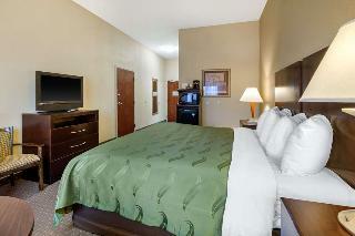 Hotel Quality Inn Smyrna