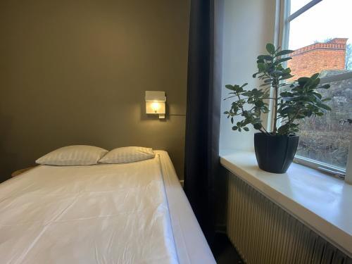 Albergue Stf Af Chapman