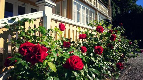 Hostal Fridhems Pensionat