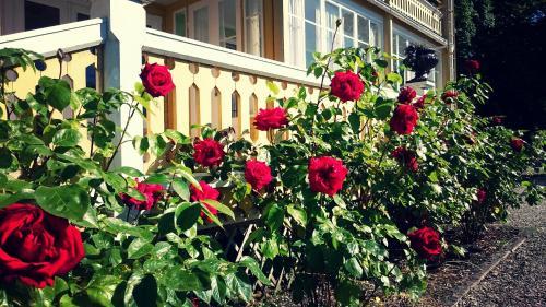 Hostal Fridhems Pensionat