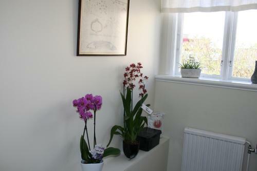 Tj�rkoket Apartment Hotel