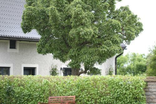 Apartamento �leklinta G�rd