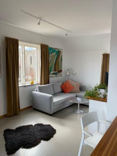 Sk�na H�nor Apartments