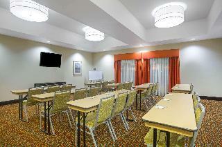 Hotel La Quinta Inn Suites By Wyndham Pearsall