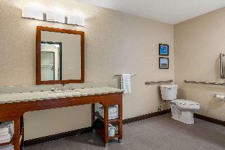 Hotel Comfort Inn Suites Isu
