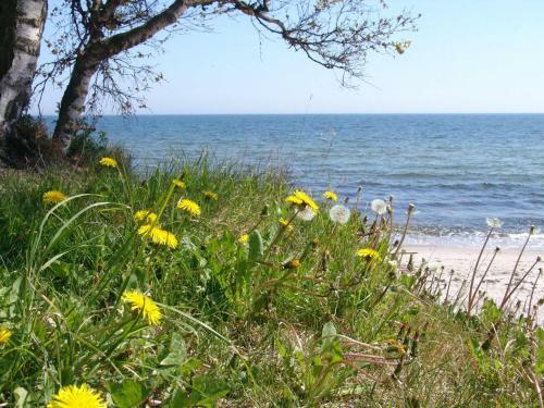 Sandskogens Camping & Stugor