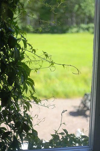 Utbyg�rdens Hostel