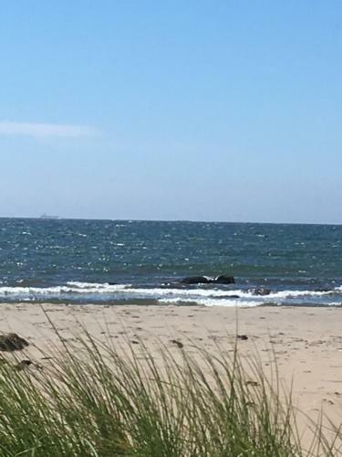 Bed & Breakfast Brog�rd